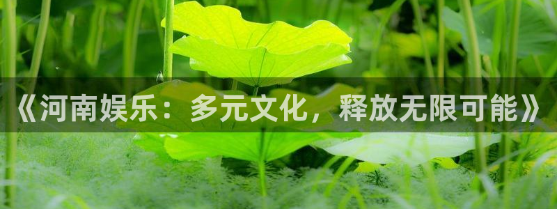 彩神app：《河南娱乐：多元文化，释放无限可能》