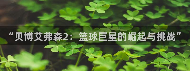 彩神首页：“贝博艾弗森2：篮球巨星的崛起与挑战”
