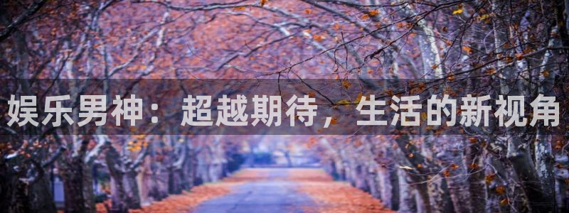 彩神8v：娱乐男神：超越期待，生活的新视角