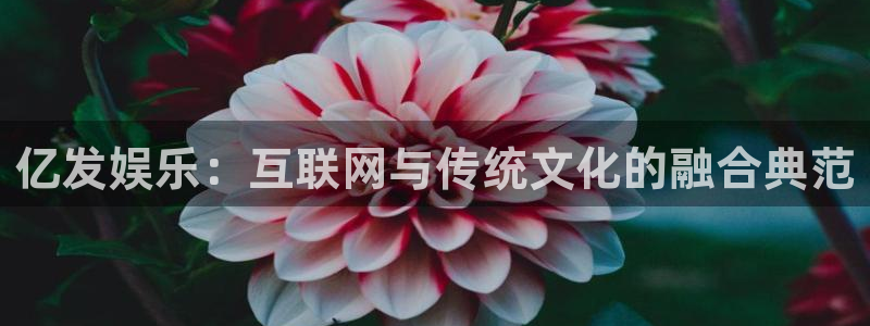彩神iiv登录首页：亿发娱乐：互联网与传统文化的融合典范