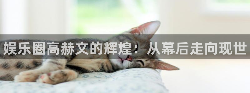 app彩神：娱乐圈高赫文的辉煌：从幕后走向现世