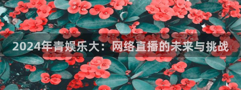 神彩神 ii：2024年青娱乐大：网络直播的未来与挑战