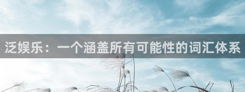 全民彩神独胆：泛娱乐：一个涵盖所有可能性的词汇体系