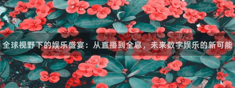 彩神x8：全球视野下的娱乐盛宴：从直播到全息，未来数字娱乐的新可能