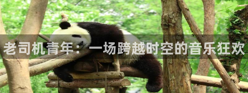 彩神vil：老司机青年：一场跨越时空的音乐狂欢