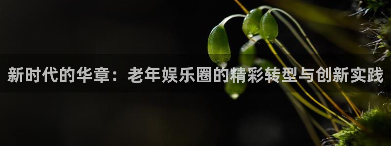 大发快彩神：新时代的华章：老年娱乐圈的精彩转型与创新实践