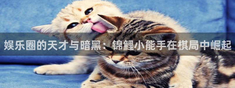 彩神ii官网：娱乐圈的天才与暗黑：锦鲤小能手在棋局中崛起