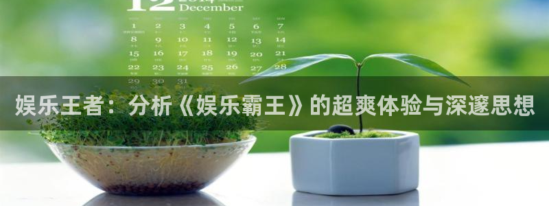 彩神500：娱乐王者：分析《娱乐霸王》的超爽体验与深邃思想
