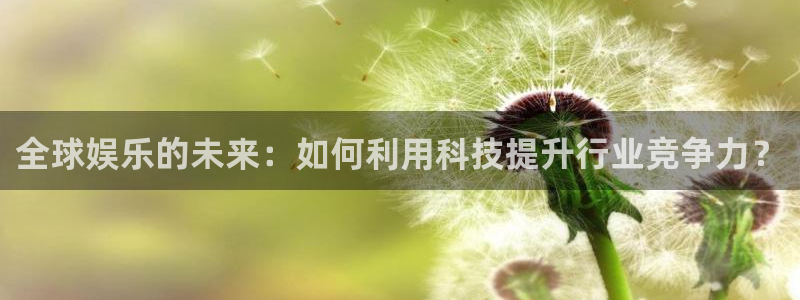 彩神邀请码：全球娱乐的未来：如何利用科技提升行业竞争力？