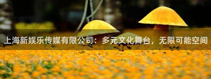 彩神八：上海新娱乐传媒有限公司：多元文化舞台，无限可能空间