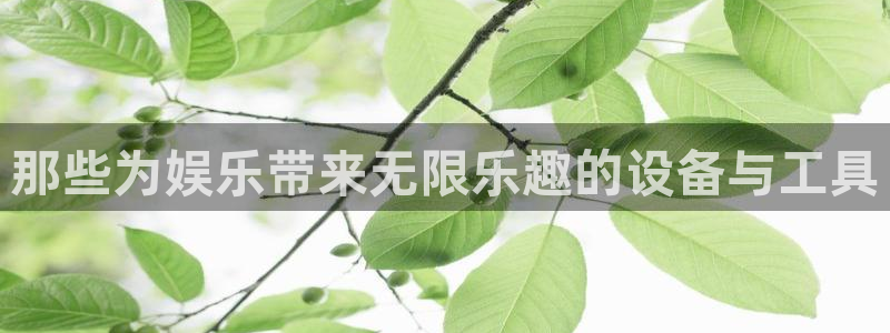 快3彩神：那些为娱乐带来无限乐趣的设备与工具