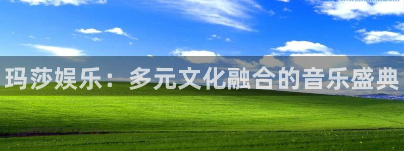 彩神争霸旧版：玛莎娱乐：多元文化融合的音乐盛典