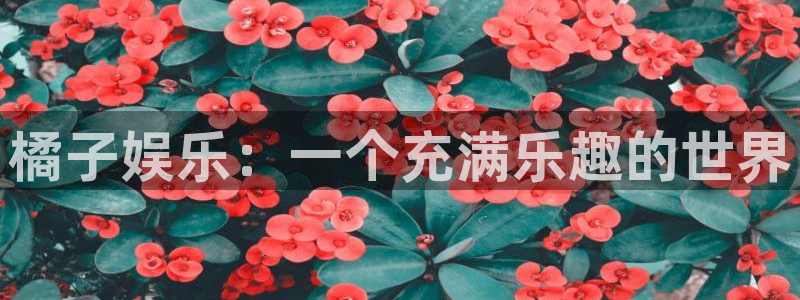 彩神x：橘子娱乐：一个充满乐趣的世界