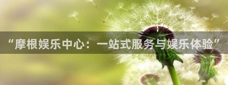 神彩神采：“摩根娱乐中心：一站式服务与娱乐体验”