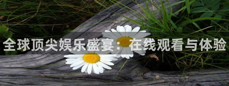 彩神图：全球顶尖娱乐盛宴：在线观看与体验