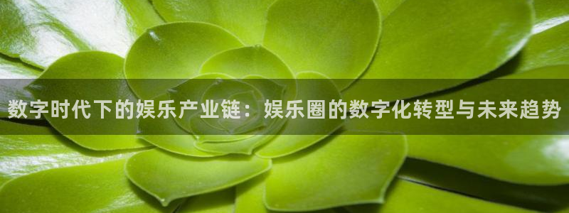 彩神附体专栏：数字时代下的娱乐产业链：娱乐圈的数字化转型与未来趋势
