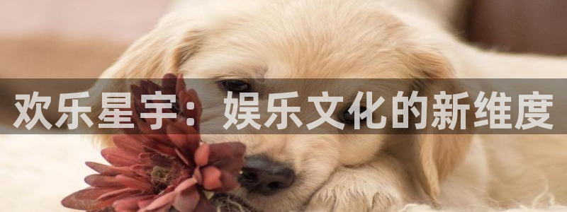彩神快三：欢乐星宇：娱乐文化的新维度