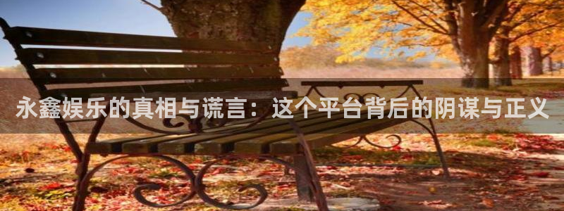 彩神v首页登录：永鑫娱乐的真相与谎言：这个平台背后的阴谋与正义